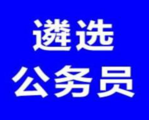 公务员遴选看什么书